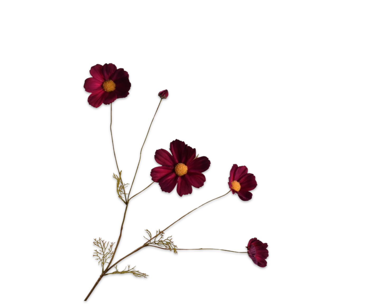 Cosmos Bordeaux 92cm Silk-ka