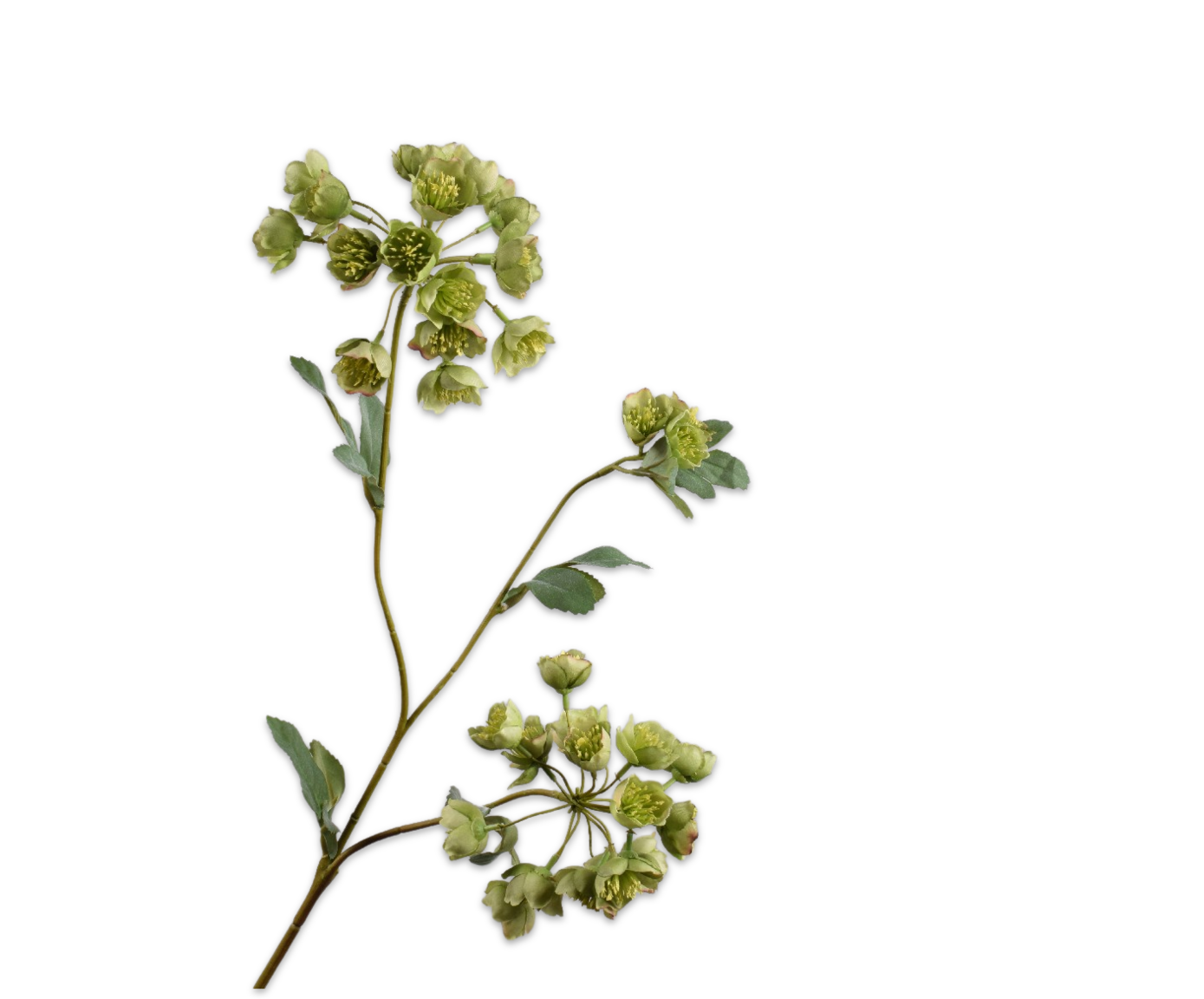 Helleborus groen 70cm Silk-ka