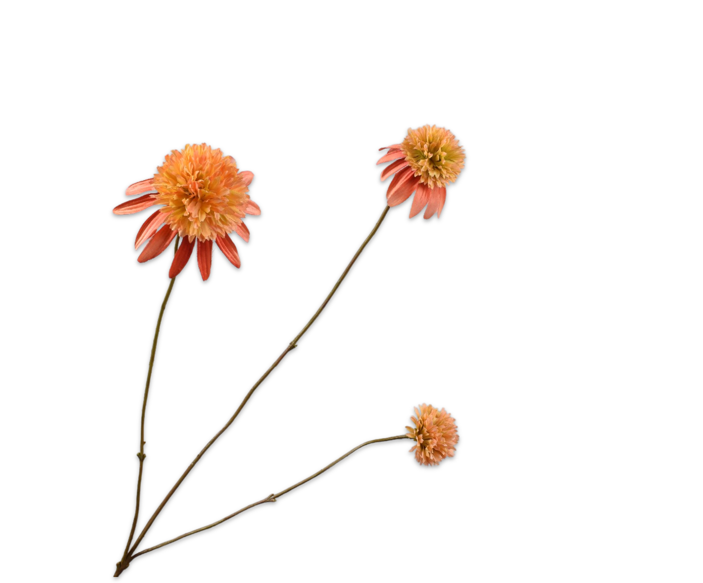 Rudbeckia tak zalm 66cm Silk-ka