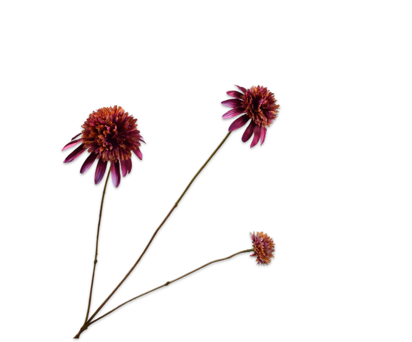 Rudbeckia tak paars 66cm Silk-ka