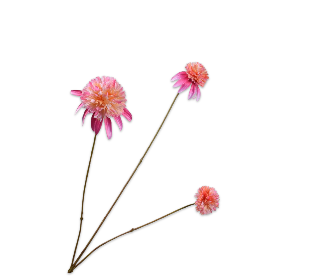 Rudbeckia tak roze 66cm Silk-ka