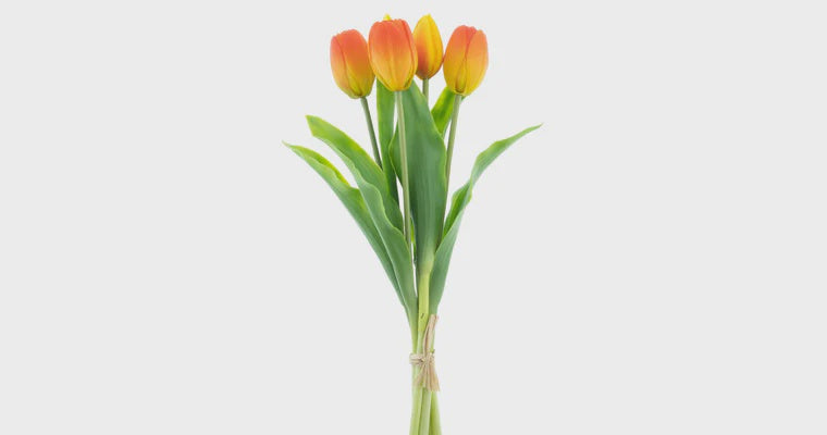 Tulpen bundel x5 oranje 36cm