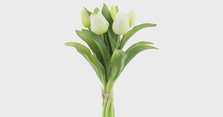 Tulpen bundel x7 cream 31cm