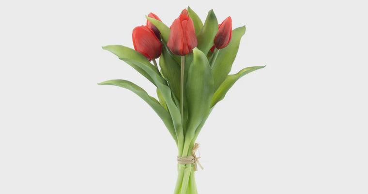 Tulpen bundel x7 rood 31cm