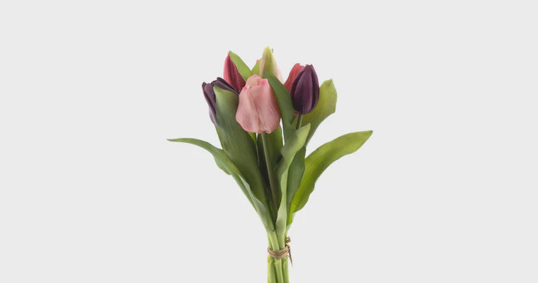 Tulpen bundel x7 paars/beauty combi 31cm
