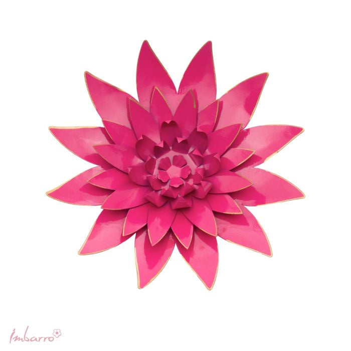 Flower Bellis
