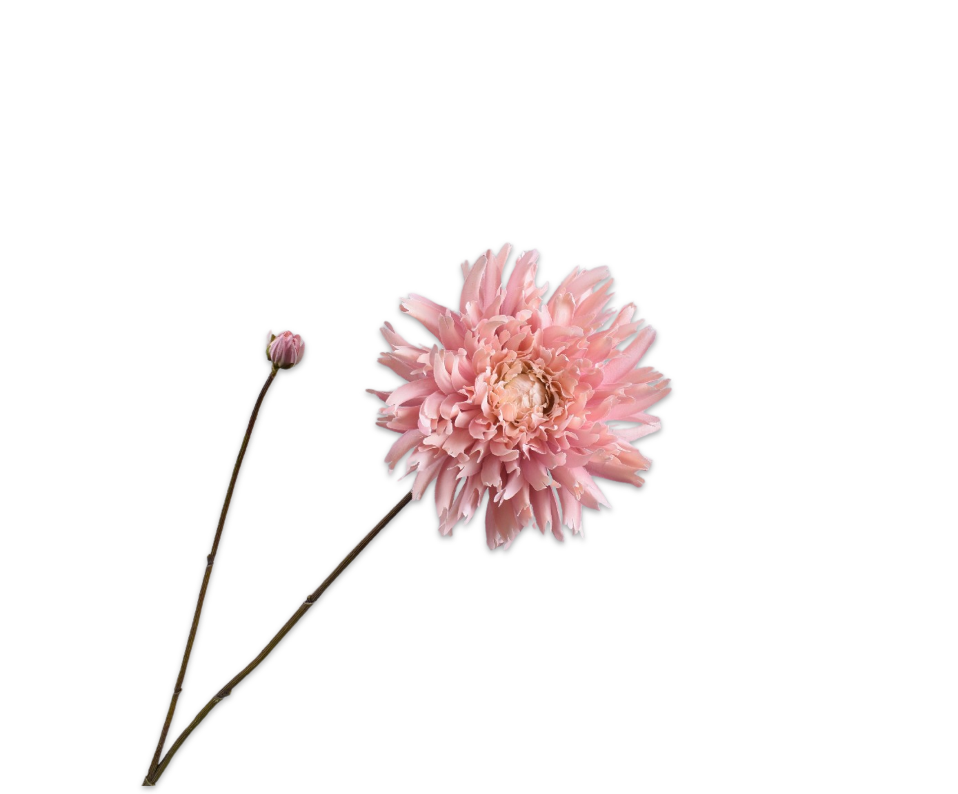 Chrysant tak cr/roz 101cm Silk-ka