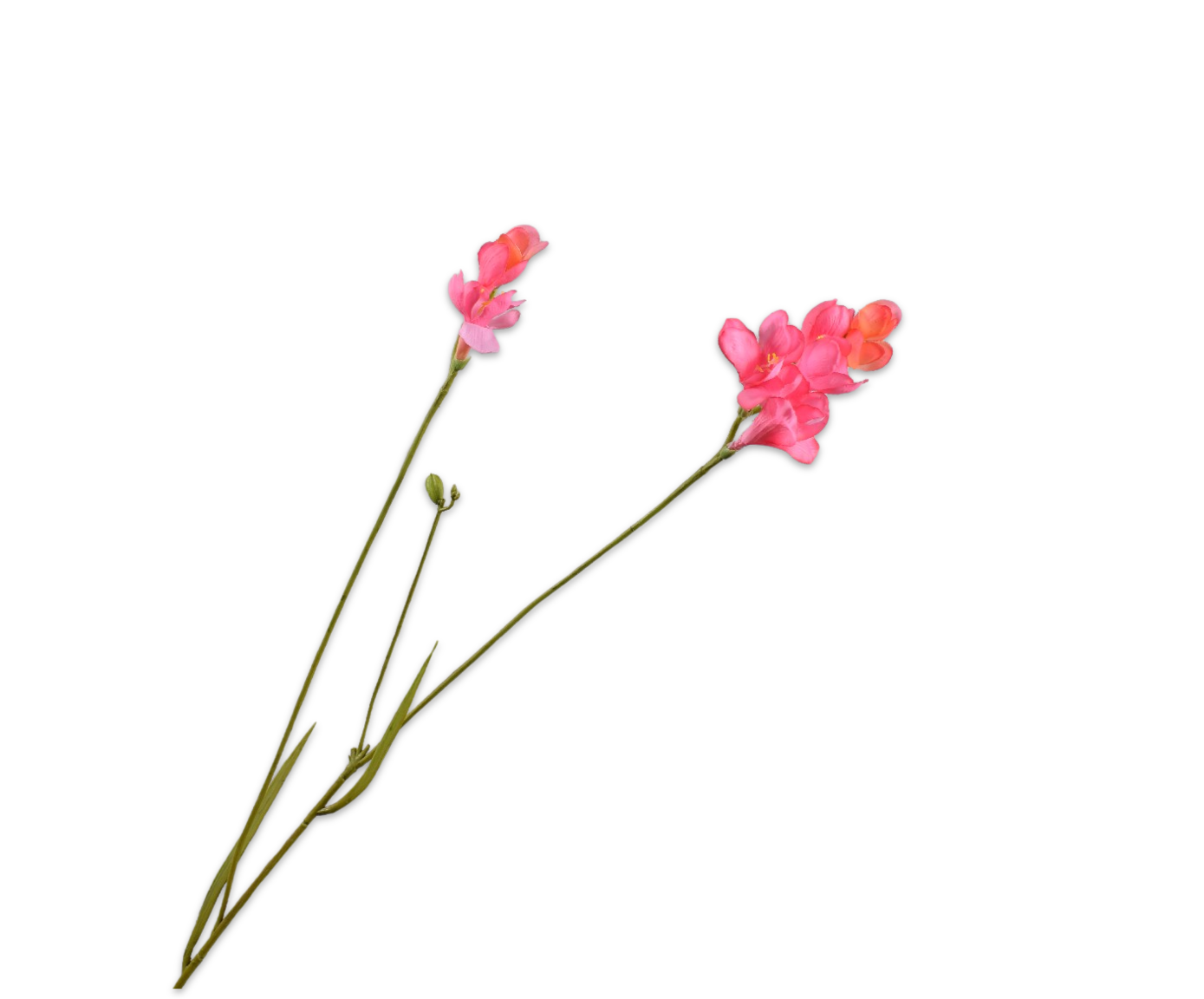 Freesia tak Beauty 78cm 154738
