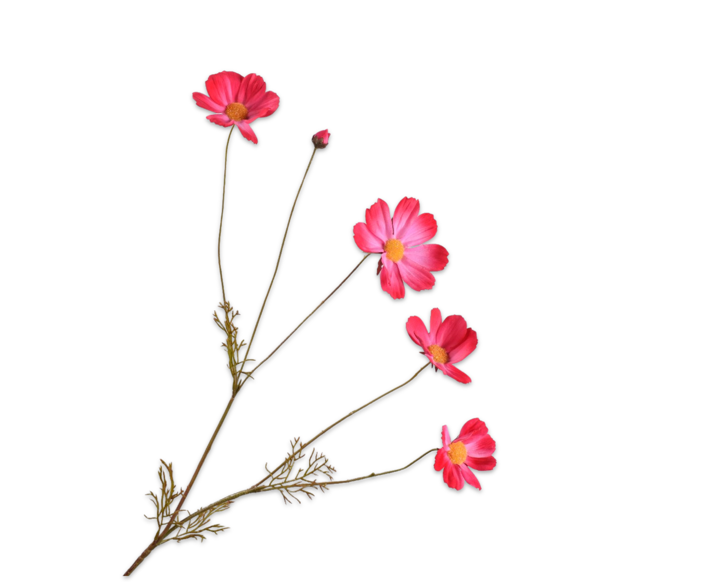 Cosmos beauty 92cm Silk-ka