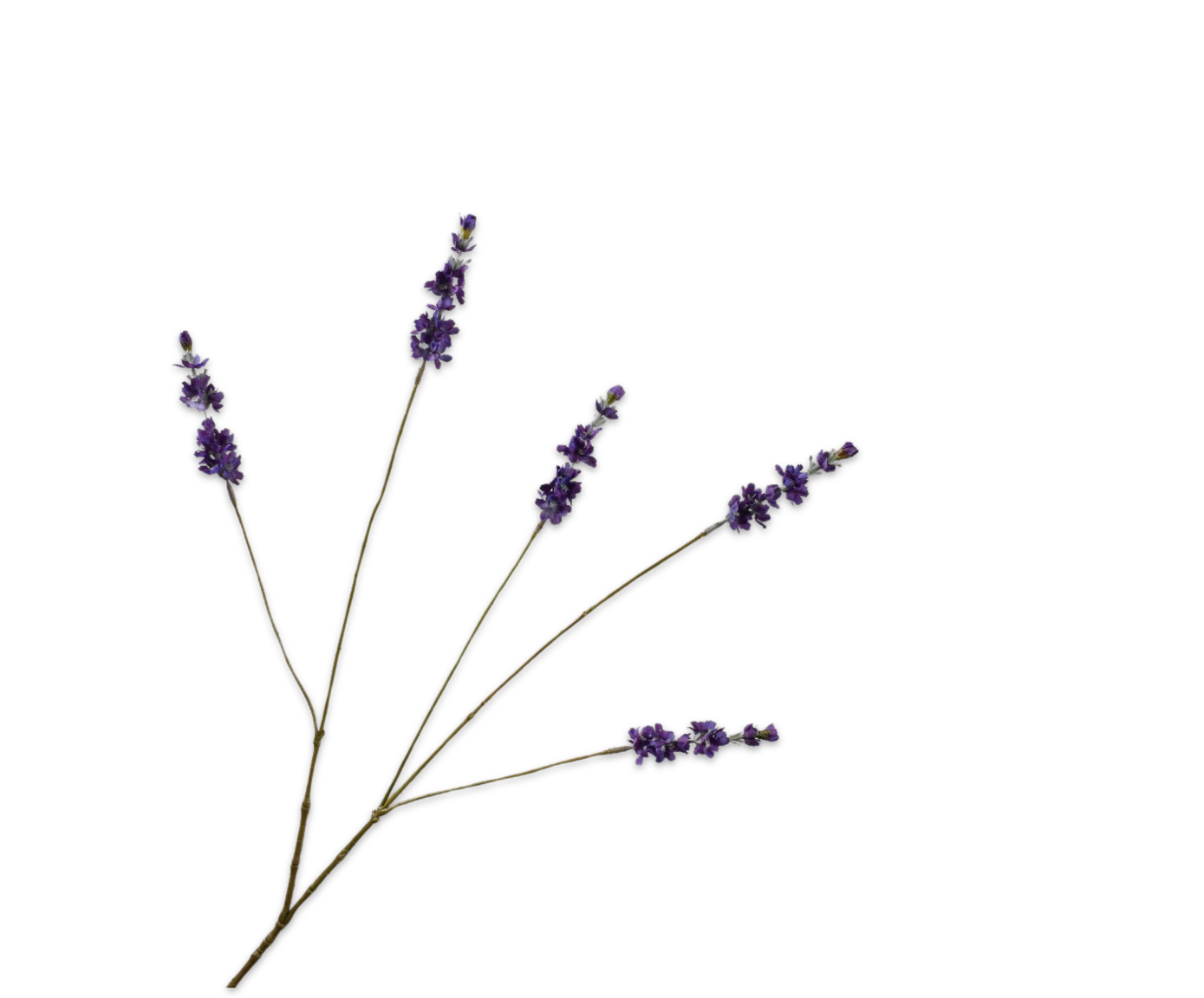 Lavendel tak paars Silk-ka 160312