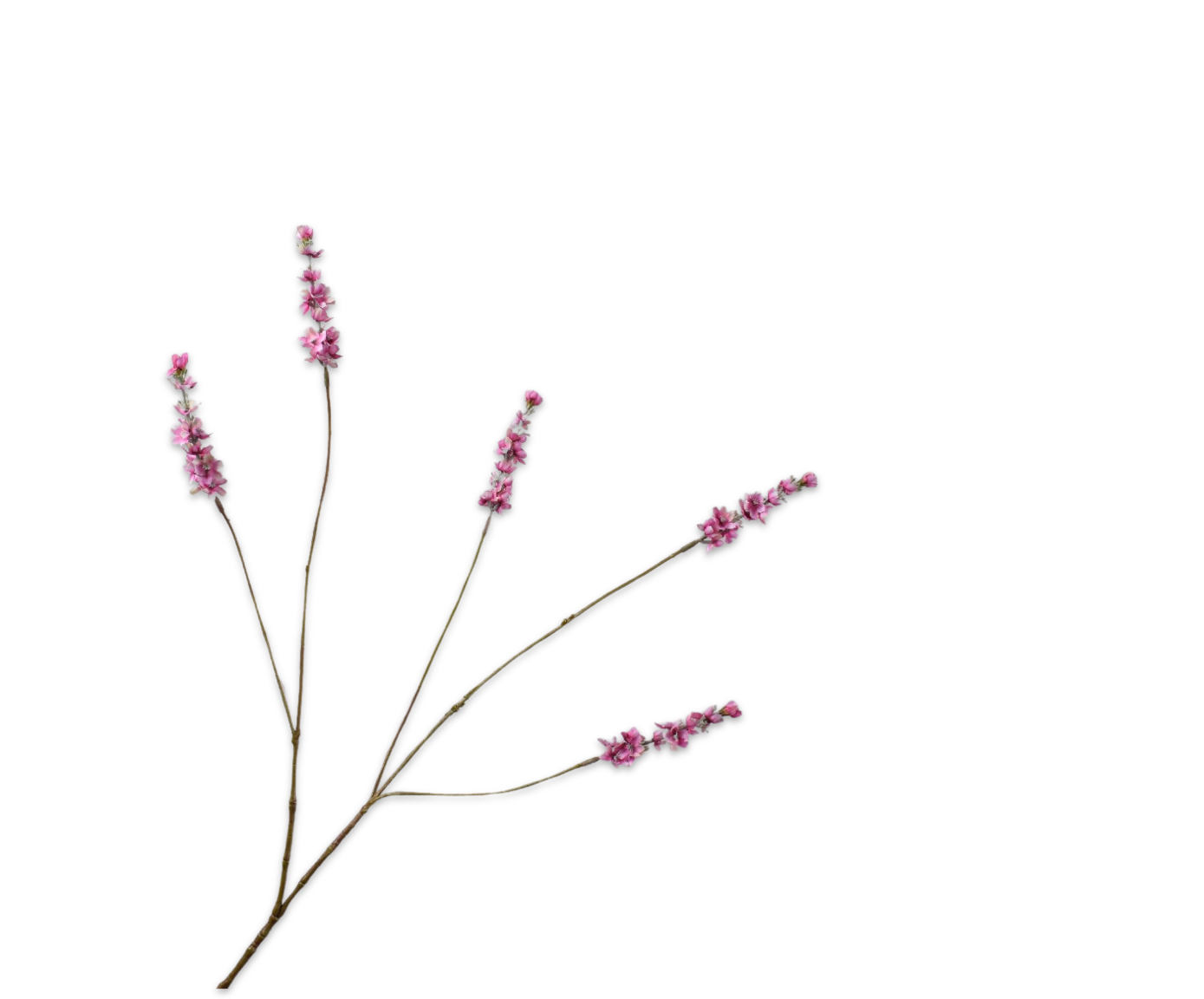 Lavendel tak roze Silk-ka 160313