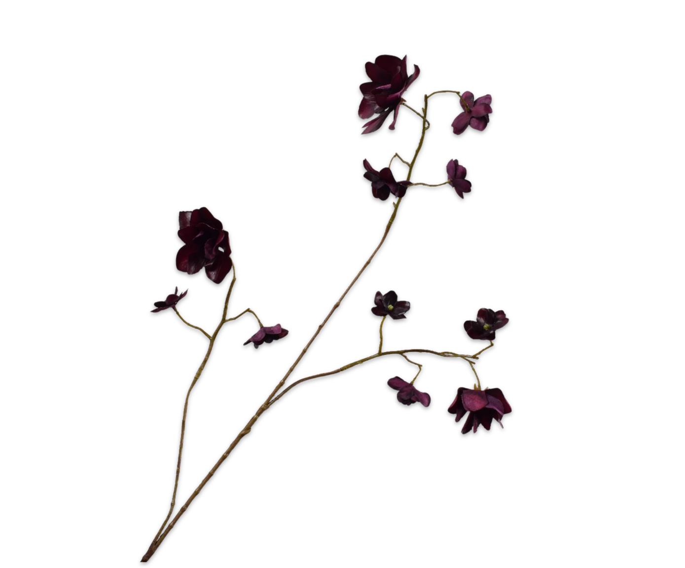 Hortensia tak bordeaux Silk-ka 160335