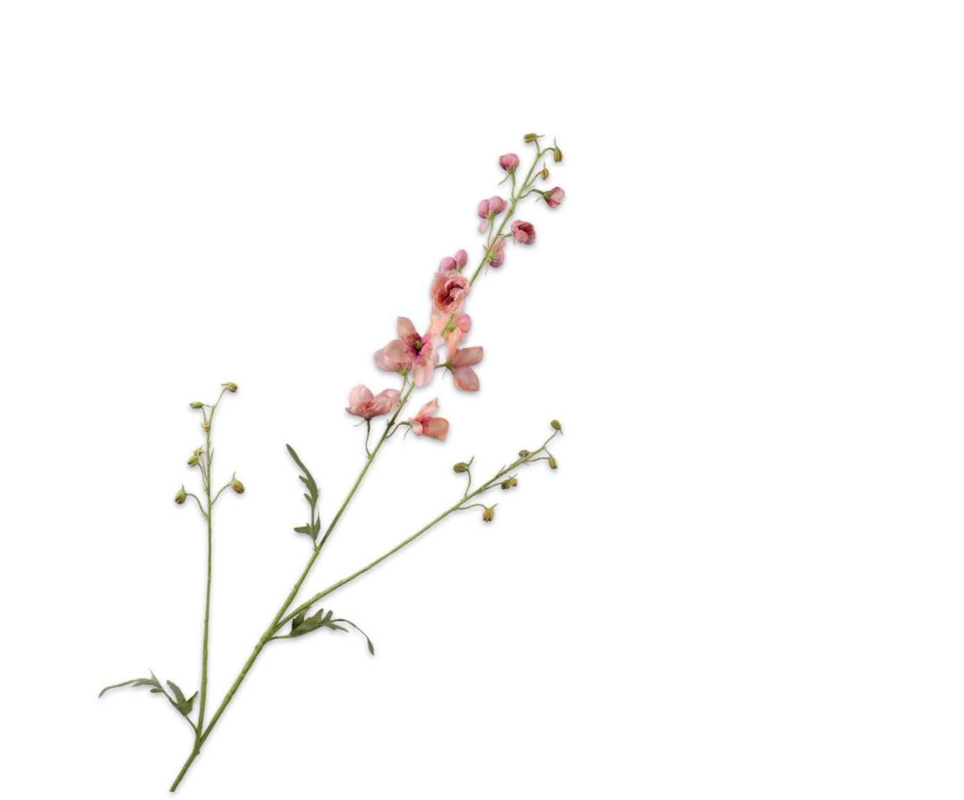 Delphinium tak roze/beauty Silk-ka 160372