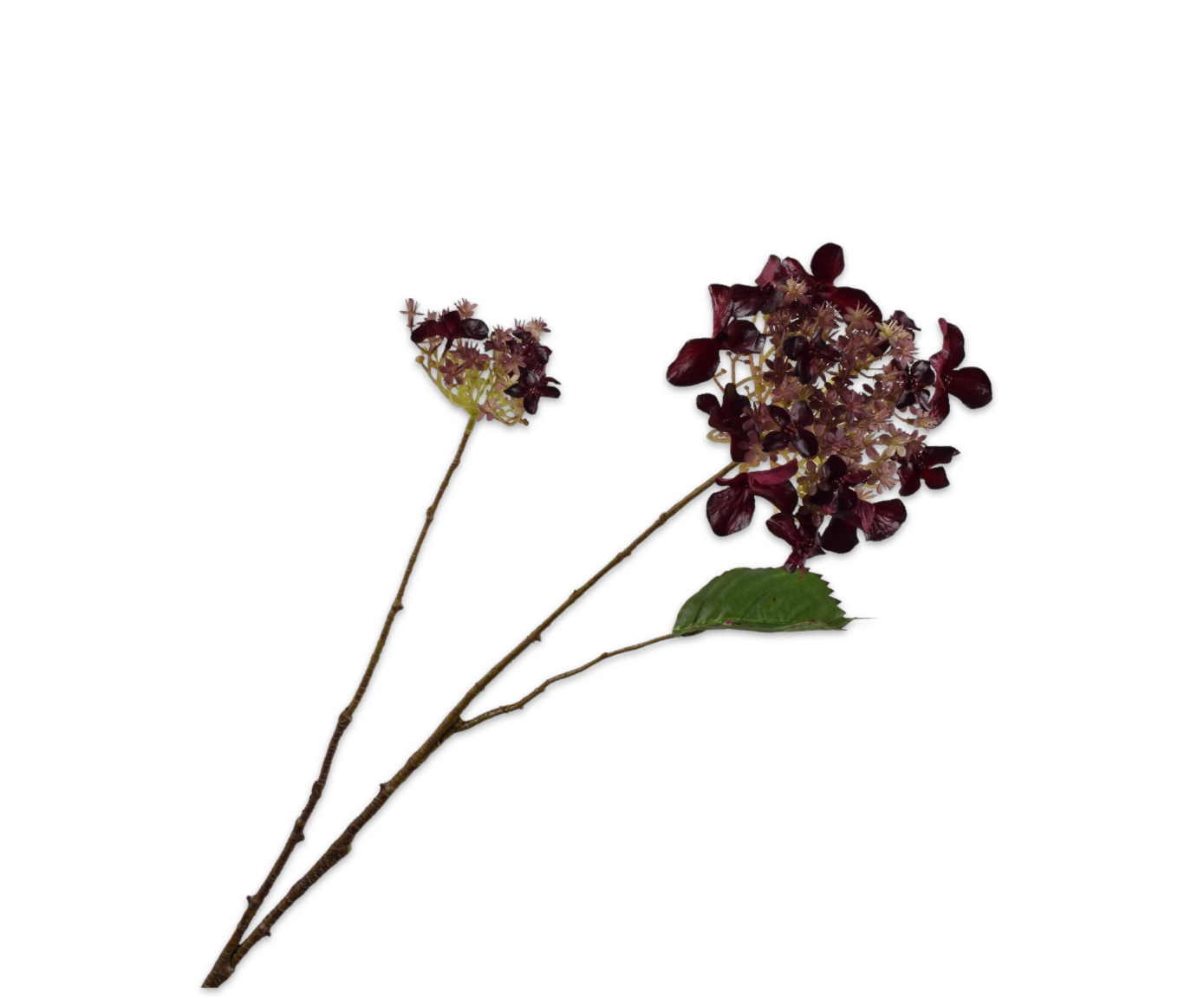 Hortensia tak bordeaux Silk-ka 160476