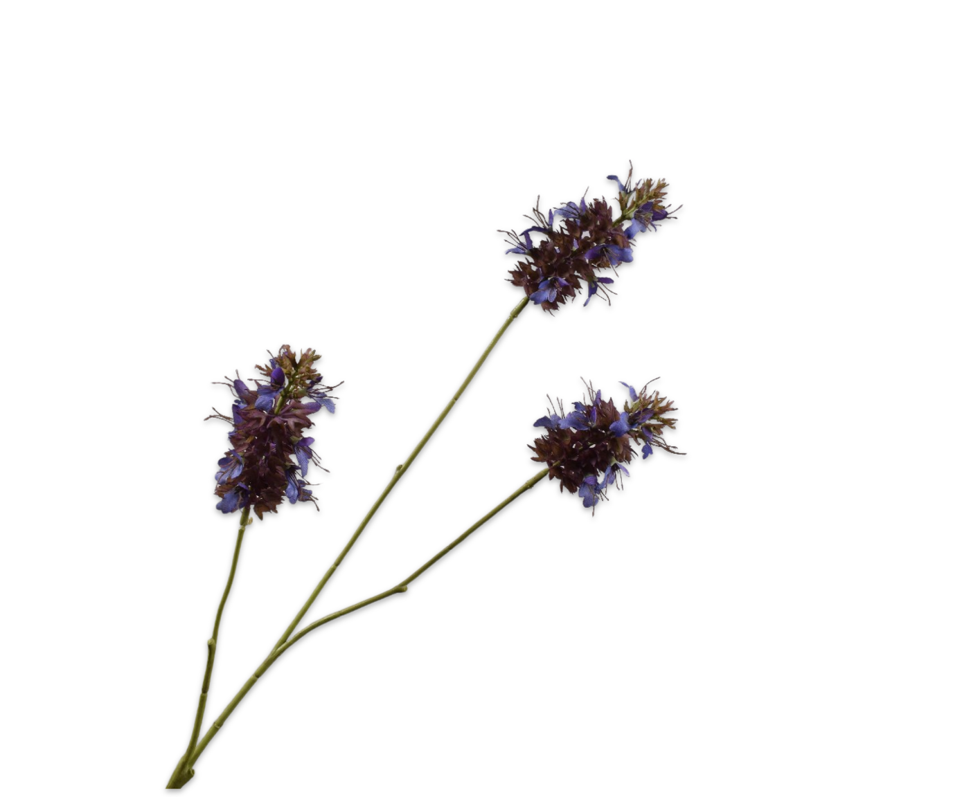 Salvia tak paars Silk-ka 160586