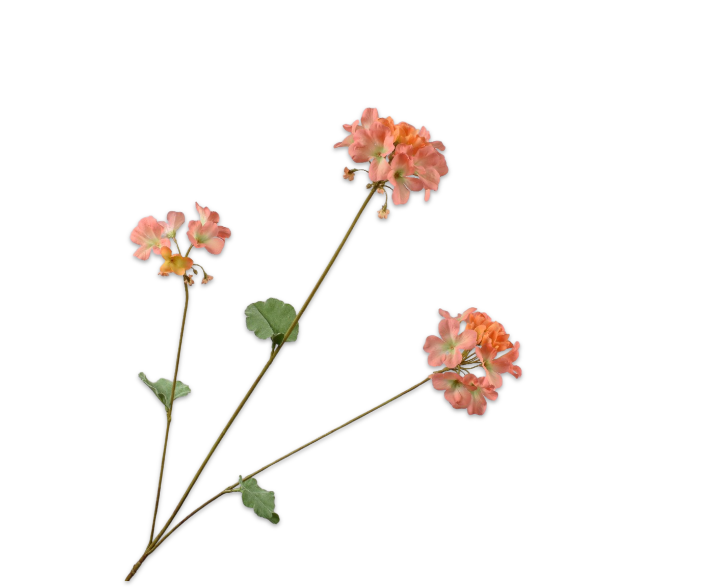 Geranium tak zalm Silk-ka 160621