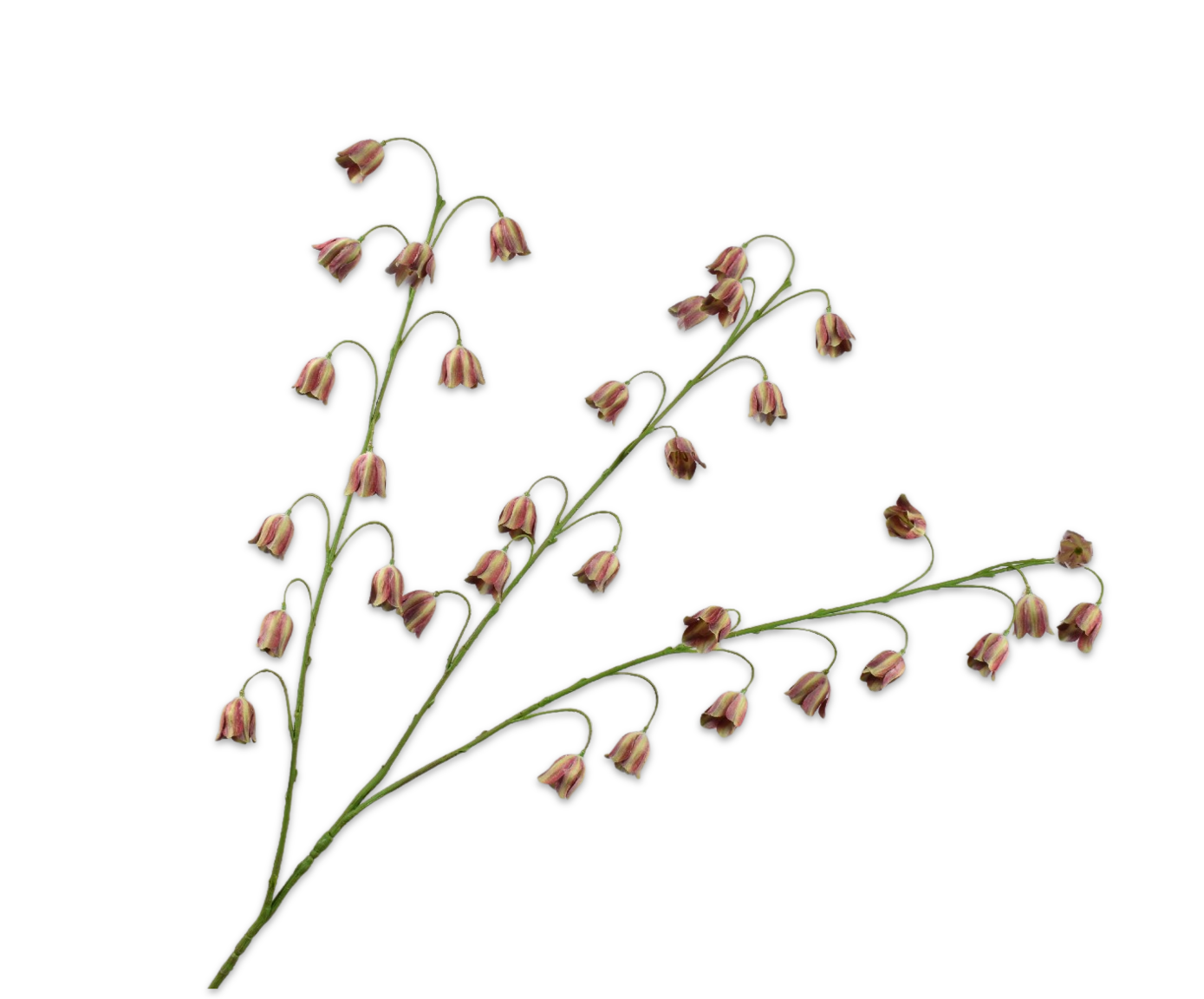 Fritillaria tak bor/grn Silk-ka 160626