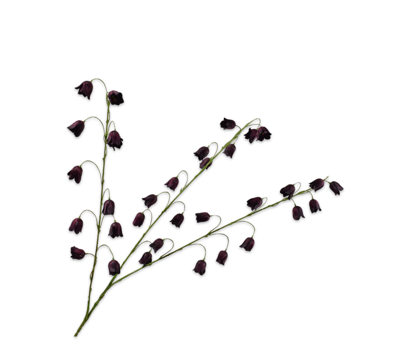 Fritillaria tak bordeaux Silk-ka 160629
