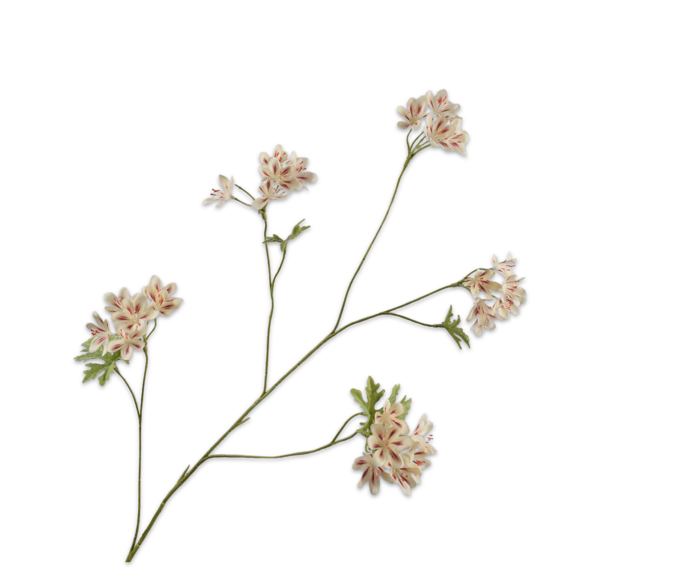 Geranium tak cr/brn Silk-ka 160643