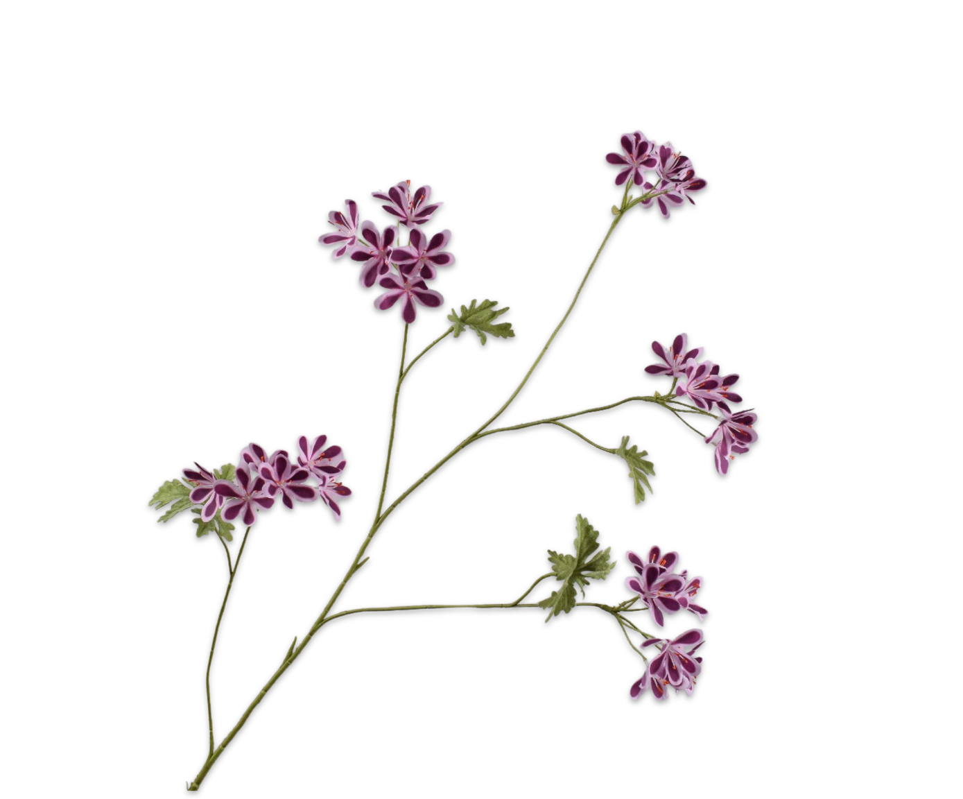 Geranium tak paars Silk-ka 160644