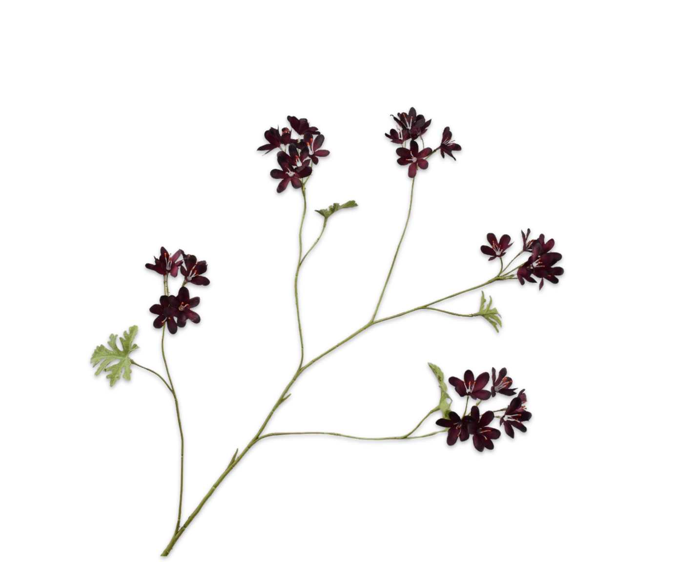Geranium tak bordeaux Silk-ka 160646