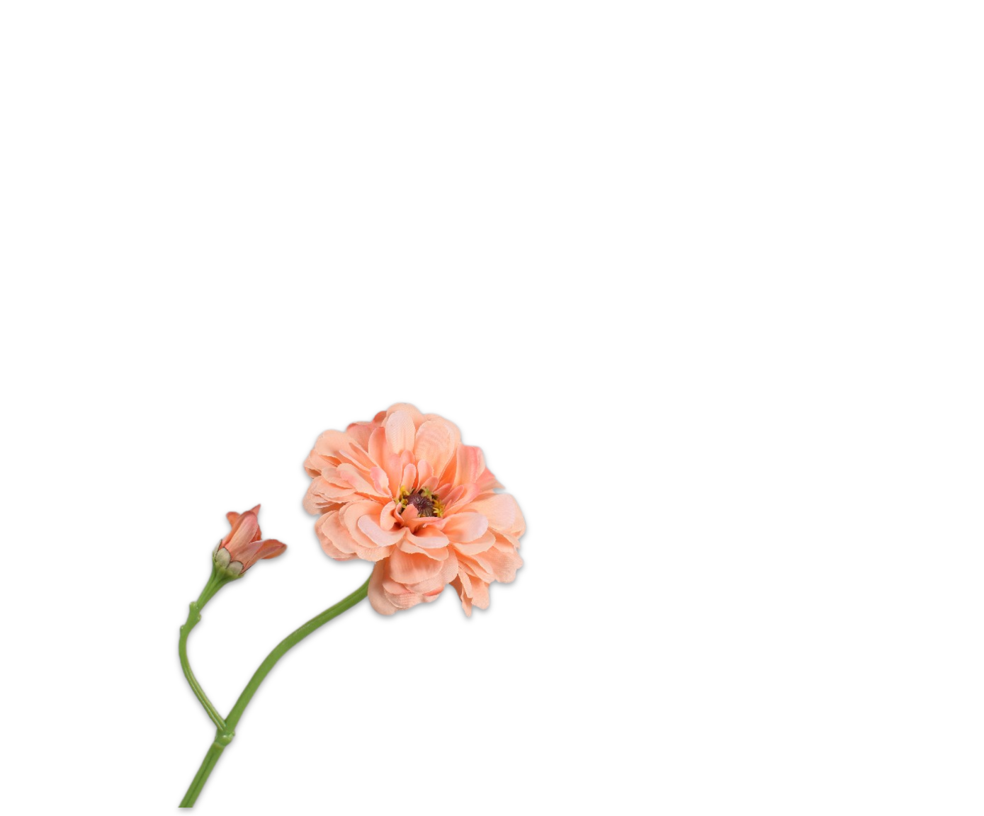 Zinnia tak perzik 64cm Silk-ka 161291