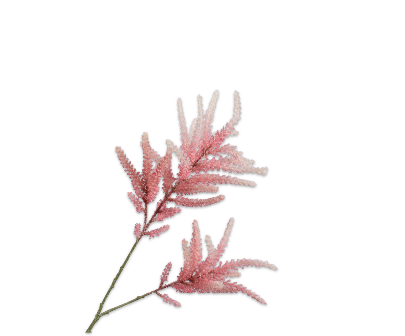 Spirea tak roze Silk-ka 161574