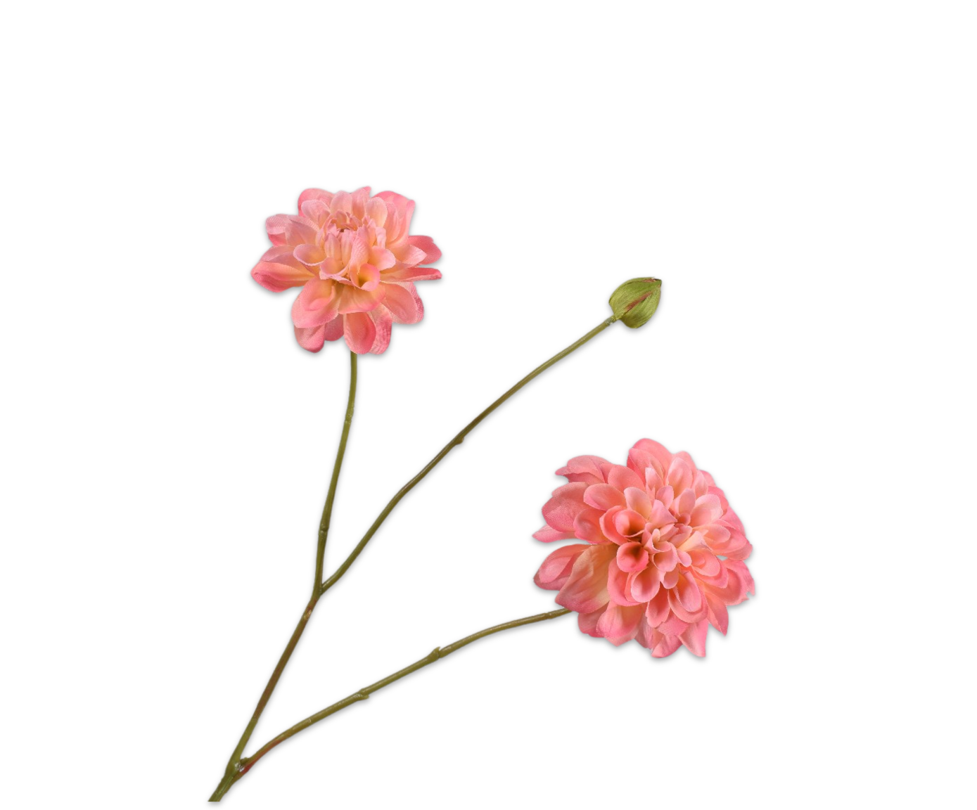 Dahlia tak zalm Silk-ka 161810