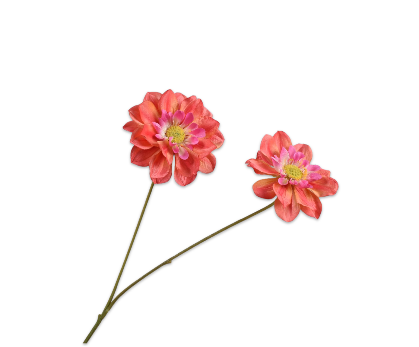 Dahlia tak rd/ora Silk-ka 161813