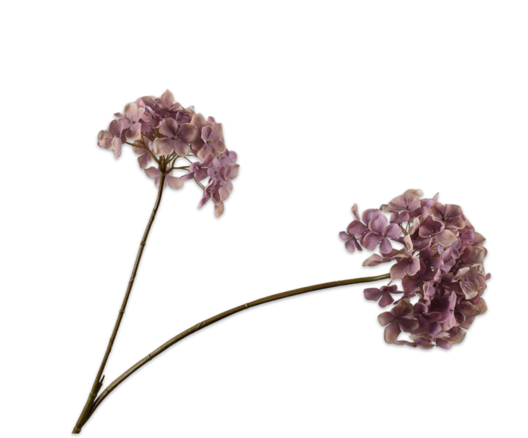 Hortensia tak lavendel 85cm