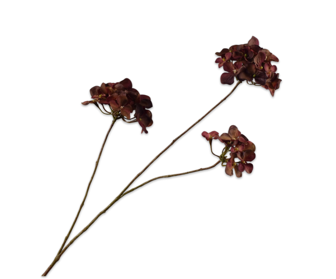 Hortensia tak rood/bruin 85cm