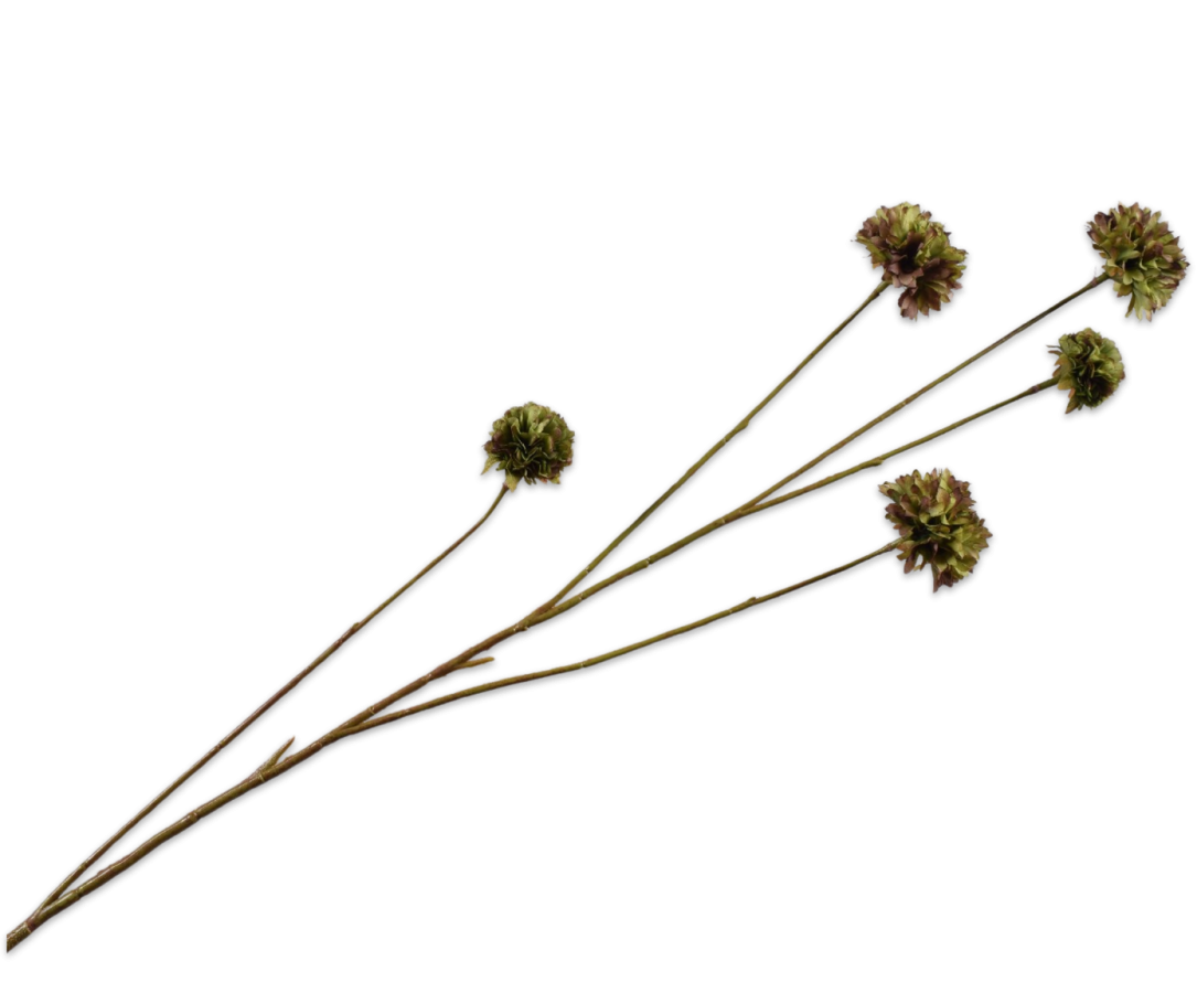 Korenbloem tak bruin/groen 91cm