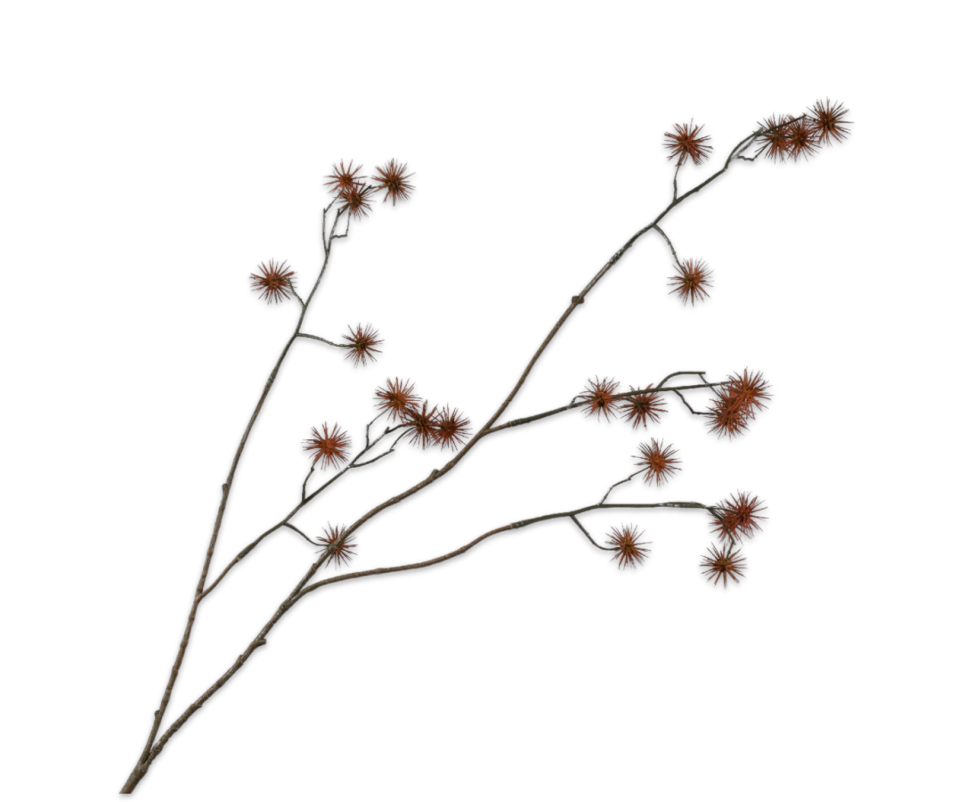 Distel tak bruin 101cm