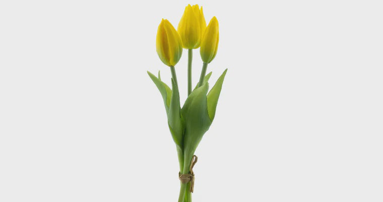 Tulpen bundel x3 geel 25cm