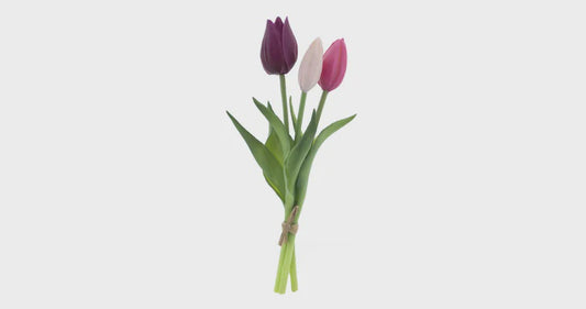 Tulpen bundel x3 aubergine/mauve/roze 25cm