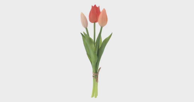 Tulpen bundel x3 oranje/peach/roze 25cm