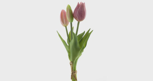 Tulpen bundel x3 roze 25cm