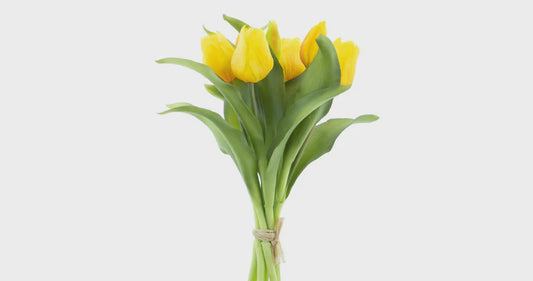 Tulpen bundel x7 geel 31cm