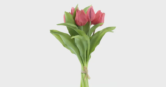 Tulpen bundel x7 beauty 31cm