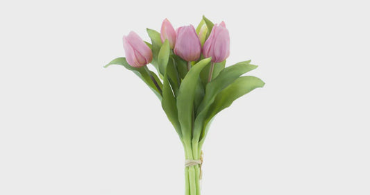 Tulpen bundel x7 mauve 31cm