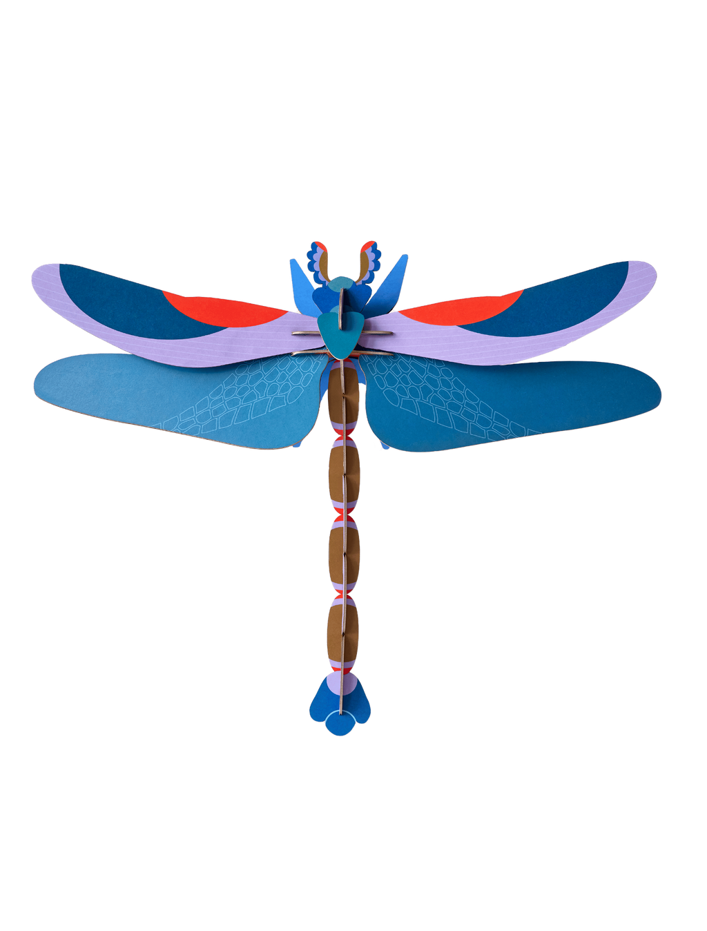 Blue Dragonfly
