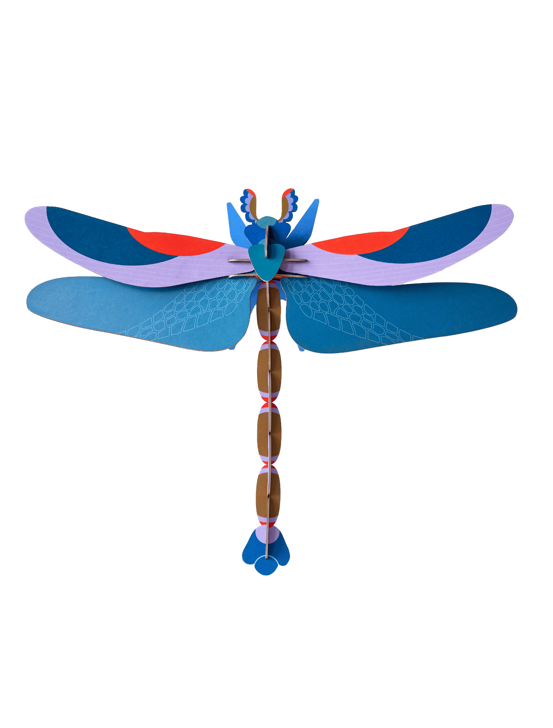 Blue Dragonfly