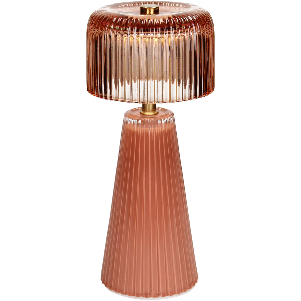 Ledlamp LED stripes glass terra groot