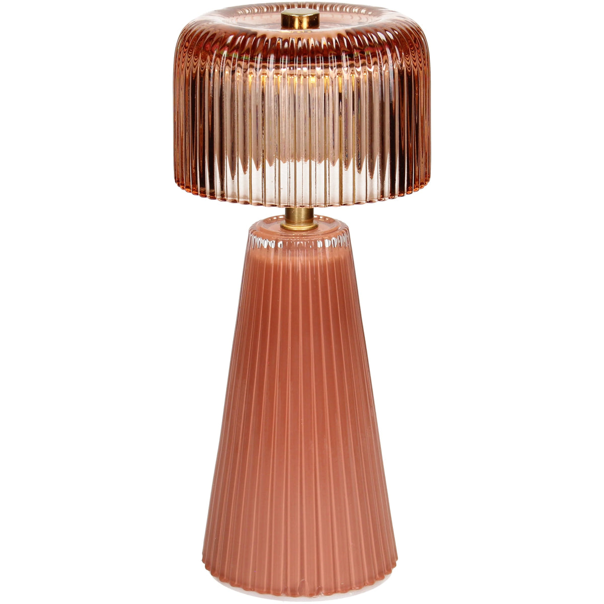 Ledlamp LED stripes glass terra groot
