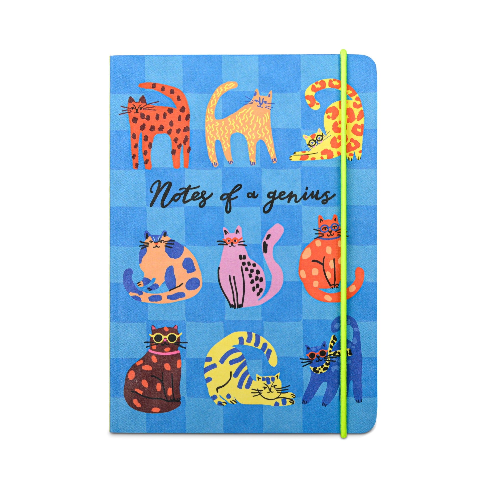 Notebook Notes of a Genius