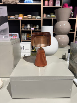 Ledlamp LED stripes glass terra klein