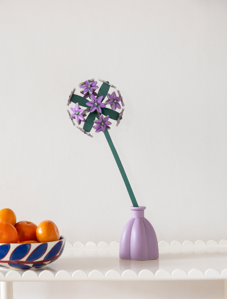 Allium