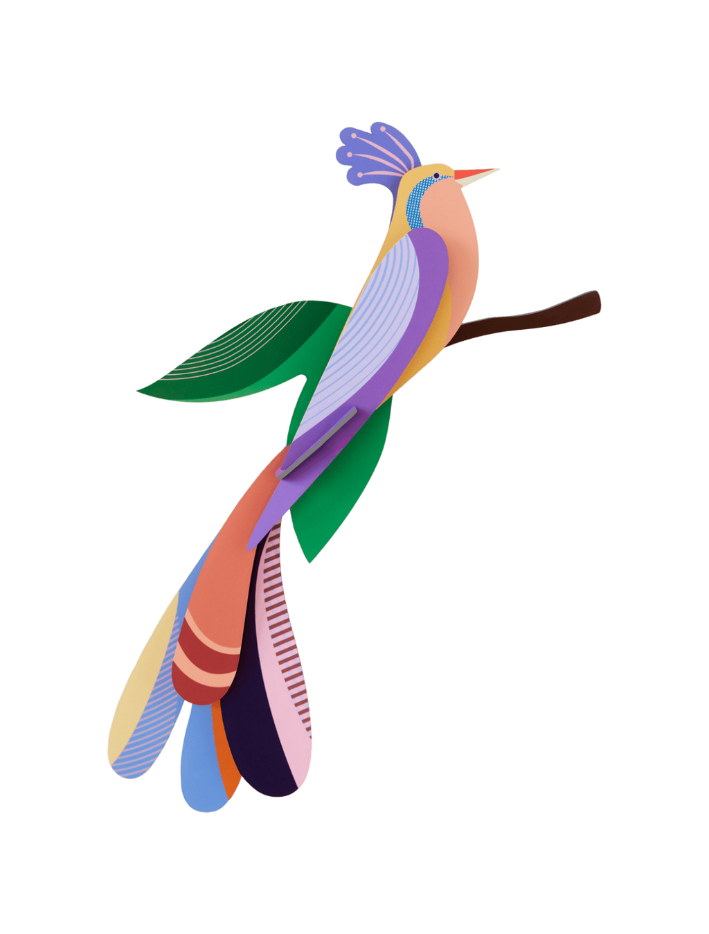 Paradise bird Bisa