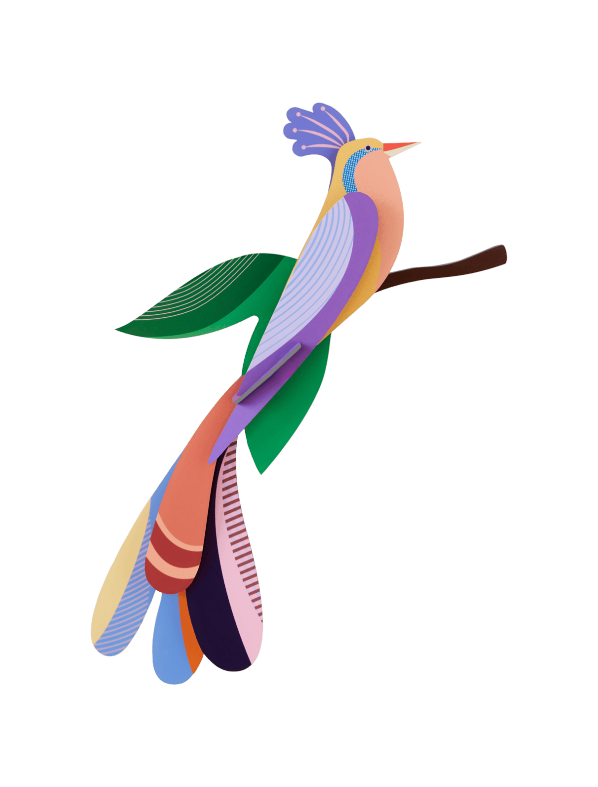 Paradise bird Bisa
