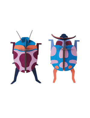 Coccinelle koppel Studio Roof